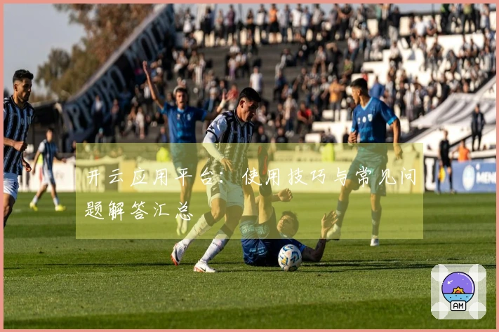 开云应用平台：使用技巧与常见问题解答汇总
