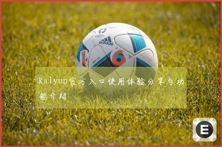 kaiyun官方入口使用体验分享与功能介绍