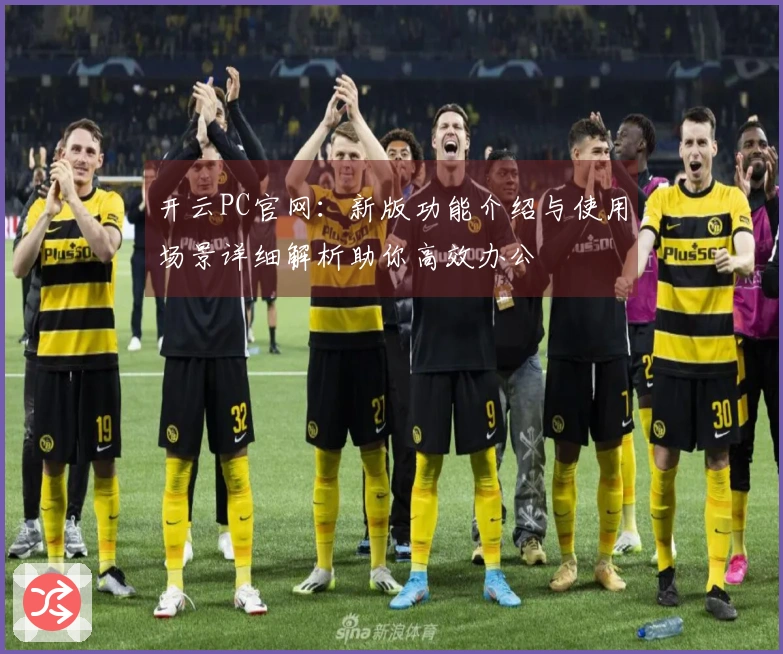 开云PC官网：新版功能介绍与使用场景详细解析助你高效办公